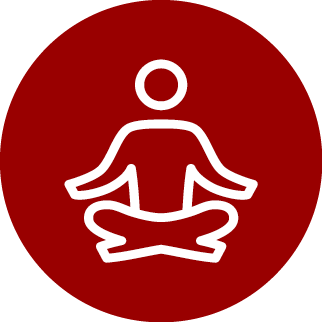 HealthWellnessPrograming_Icon.png